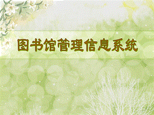 图书馆管理信息系统.ppt