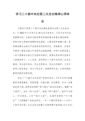 【共5篇】纪委书记学习二十届中纪委二次全会上的重要讲话精神暨专题片《永远吹冲锋号》心得体会研讨材料.docx