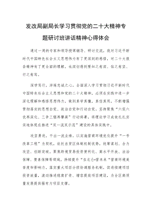发改局副局长学习贯彻党的二十大精神专题研讨班讲话精神心得体会.docx