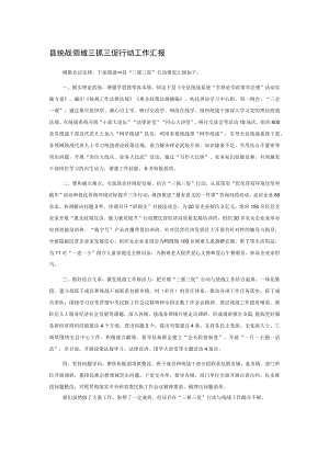 县统战领域三抓三促行动工作汇报.docx