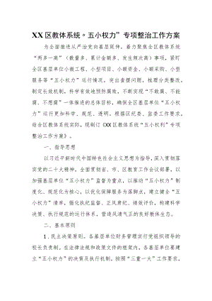 XX区教体系统“五小权力”专项整治工作方案.docx