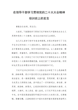 在领导干部学习贯彻党的二十大大会精神培训班上的发言.docx