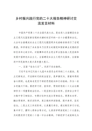 乡村振兴践行党的二十大报告精神研讨交流发言材料.docx