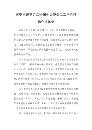 【共5篇】年轻干部学习二十届中纪委二次全会上的重要讲话精神心得体会范文.docx