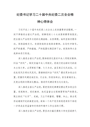 【共5篇】县委领导干部2023学习二十届中纪委二次全会上的重要讲话精神心得感想.docx