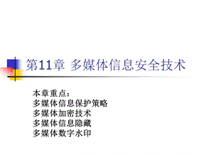 多媒体信息安全.ppt