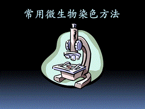 常用微生物染色方法.ppt
