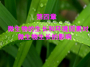 微生物的生长和环境因素对微生物生长的影响.ppt