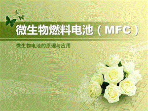 微生物电池的原理与应用.ppt