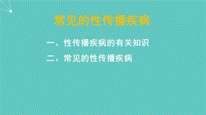 常见的性传染病.ppt