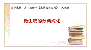 微生物的分离与纯化.ppt