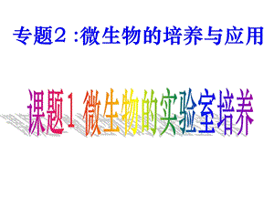 微生物的实验室培养.ppt