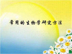 常用的生物学研究方法.ppt