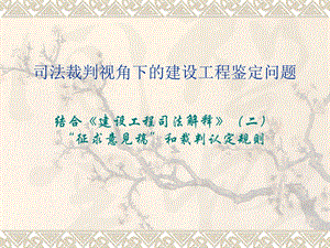 建设工程施工合同司法解释.ppt