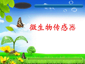 微生物传感器.ppt