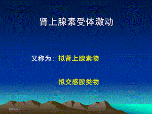 异丙肾上腺素PPT医学课件.ppt