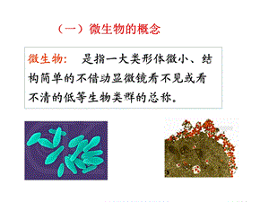 微生物绪论.ppt