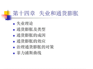 宏观经济学第十四章.ppt