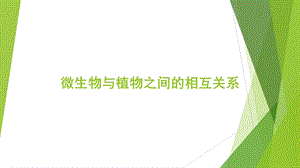 微生物与植物互作.ppt