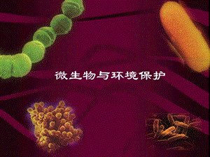 微生物与环境保护.ppt