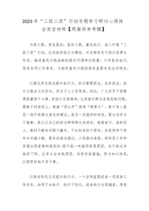 2023年“三抓三促”行动专题学习研讨心得体会发言材料【两篇供参考稿】.docx