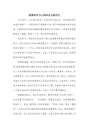 新课标学习心得体会五篇范文.docx