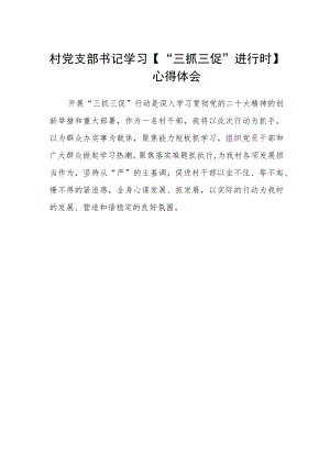 村党支部书记学习【“三抓三促”进行时】心得体会范文.docx