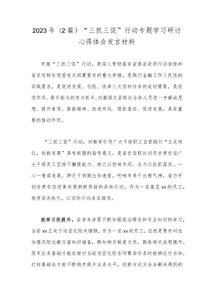 2023年（2篇）“三抓三促”行动专题学习研讨心得体会发言材料.docx