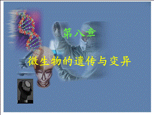 微生物的遗传与变异.ppt