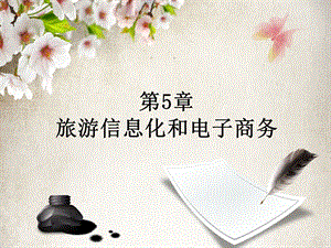 旅游电子商务第五章旅游信息化和电子商务.ppt