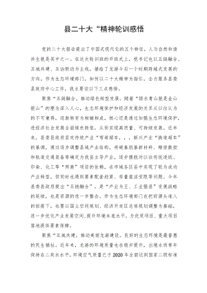 县“二十大”精神轮训感悟.docx