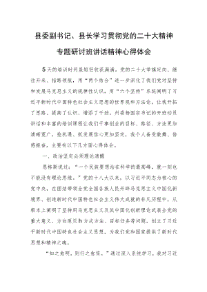 县委副书记、县长学习贯彻党的二十大精神专题研讨班讲话精神心得体会.docx