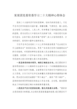 某某团党委常委学习二十大精神心得体会.docx