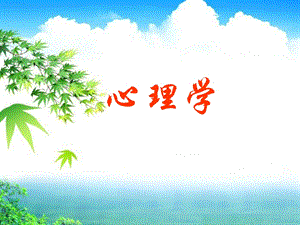 心理学注意.ppt