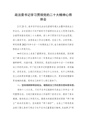 政法委书记学习贯彻党的二十大精神心得体会.docx
