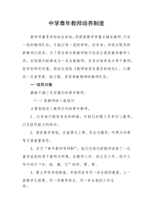 中学青年教师培养制度.docx