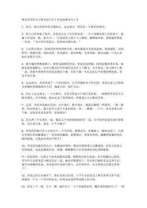 赞美杏花的句子唯美短句 关于杏花的唯美句子.docx