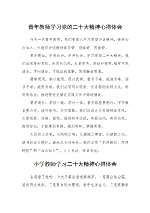 青年教师学习党的二十大精神心得体会范文3篇精选.docx