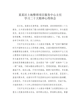 某某区土地整理项目服务中心主任学习二十大精神心得体会.docx