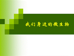 我们身边的微生物.ppt