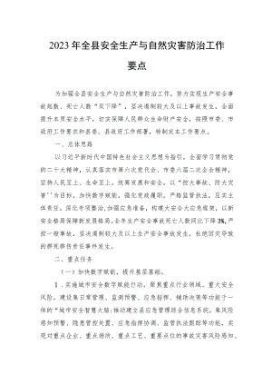 2023年全县安全生产与自然灾害防治工作要点.docx