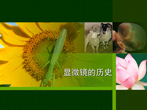 显微镜的历史.ppt