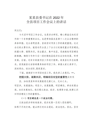 某某县委书记在2022年全县项目工作会议上的讲话.docx