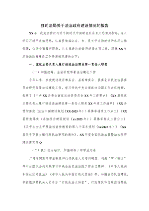 县司法局关于法治政府建设情况的报告.docx