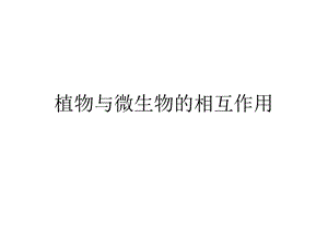 植物与微生物的相互作用.ppt