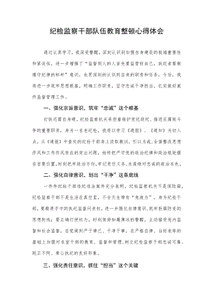 2023纪检监察干部队伍教育整顿活动的心得体会.docx