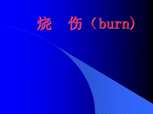 烧伤(burn)精品医学课件.ppt