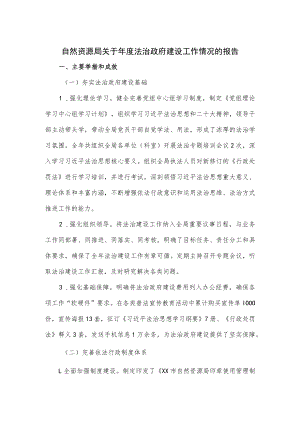 自然资源局关于年度法治政府建设工作情况的报告.docx