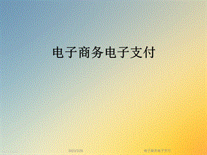 电子商务电子支付.ppt
