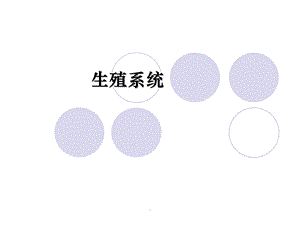 生殖系统生理医学PPT课件.ppt